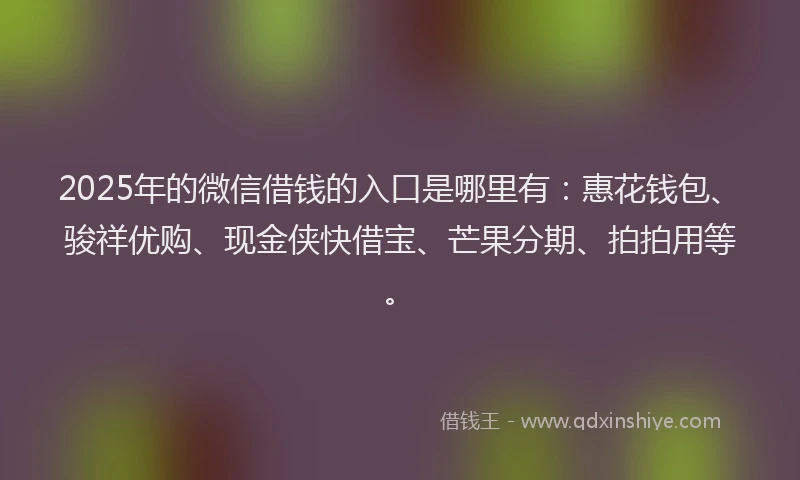 2025年的微信借钱的入口是哪里有：惠花钱包、骏祥优购、现金侠快借宝、芒果分期、拍拍用等。