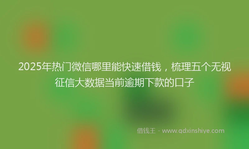 2025年热门微信哪里能快速借钱，梳理五个无视征信大数据当前逾期下款的口子