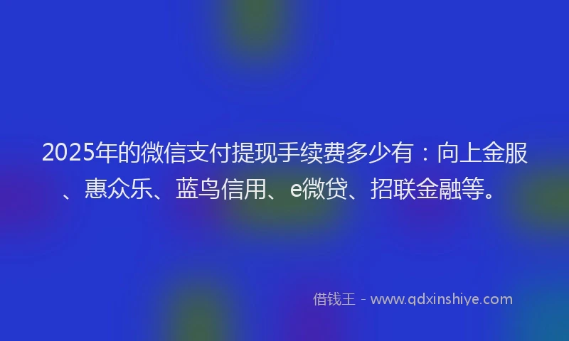2025年的微信支付提现手续费多少有：向上金服、惠众乐、蓝鸟信用、e微贷、招联金融等。