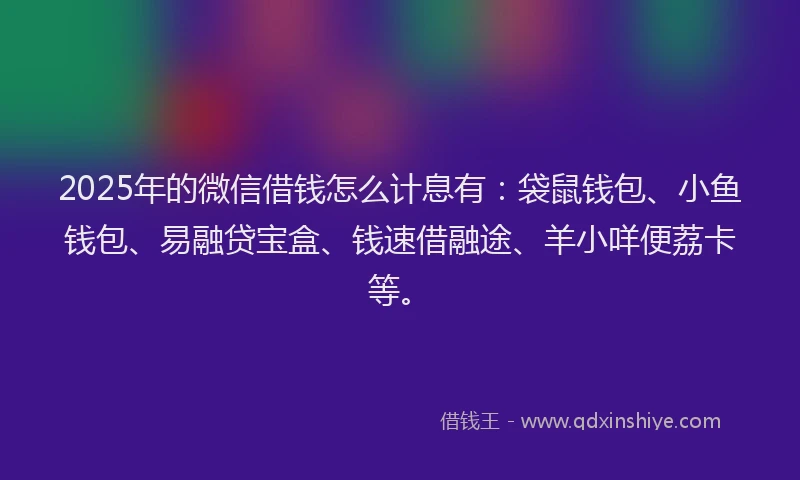 2025年的微信借钱怎么计息有：袋鼠钱包、小鱼钱包、易融贷宝盒、钱速借融途、羊小咩便荔卡等。