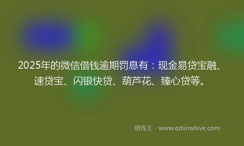 2025年的微信借钱逾期罚息有：现金易贷宝融、速贷宝、闪银快贷、葫芦花、臻心贷等。