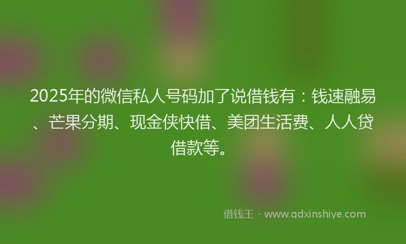 2025年的微信私人号码加了说借钱有：钱速融易、芒果分期、现金侠快借、美团生活费、人人贷借款等。