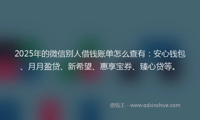 2025年的微信别人借钱账单怎么查有：安心钱包、月月盈贷、新希望、惠享宝券、臻心贷等。