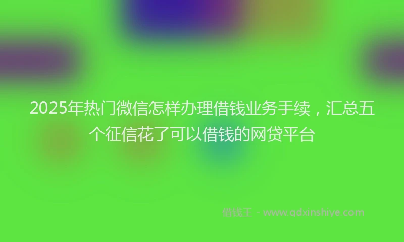 2025年热门微信怎样办理借钱业务手续，汇总五个征信花了可以借钱的网贷平台