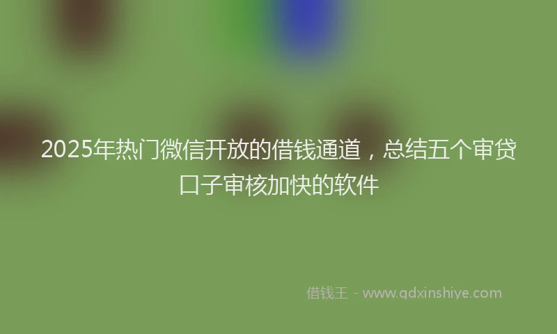 2025年热门微信开放的借钱通道，总结五个审贷口子审核加快的软件