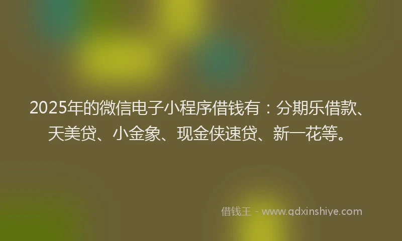 2025年的微信电子小程序借钱有：分期乐借款、天美贷、小金象、现金侠速贷、新一花等。