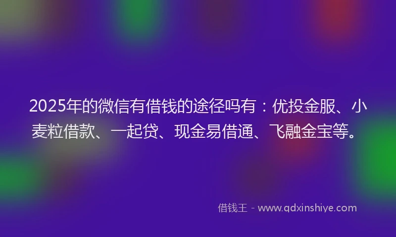 2025年的微信有借钱的途径吗有：优投金服、小麦粒借款、一起贷、现金易借通、飞融金宝等。