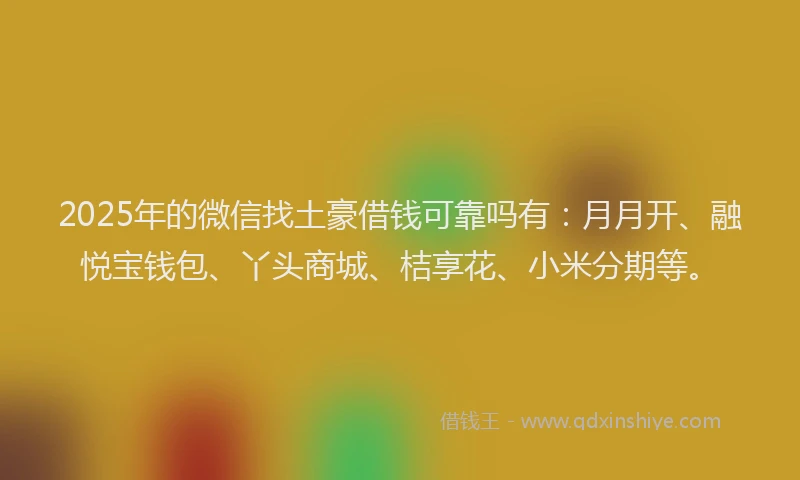 2025年的微信找土豪借钱可靠吗有：月月开、融悦宝钱包、丫头商城、桔享花、小米分期等。