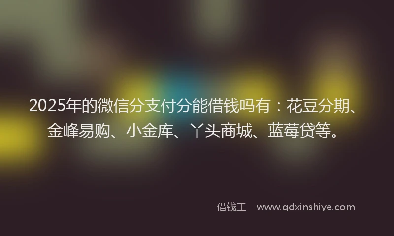 2025年的微信分支付分能借钱吗有：花豆分期、金峰易购、小金库、丫头商城、蓝莓贷等。