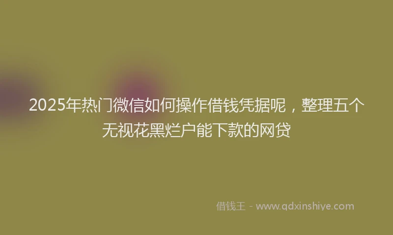2025年热门微信如何操作借钱凭据呢，整理五个无视花黑烂户能下款的网贷