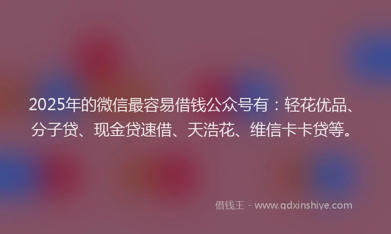 2025年的微信最容易借钱公众号有：轻花优品、分子贷、现金贷速借、天浩花、维信卡卡贷等。