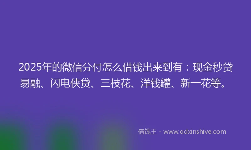 2025年的微信分付怎么借钱出来到有：现金秒贷易融、闪电侠贷、三枝花、洋钱罐、新一花等。
