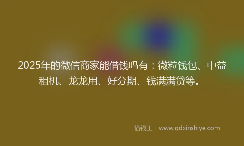 2025年的微信商家能借钱吗有：微粒钱包、中益租机、龙龙用、好分期、钱满满贷等。