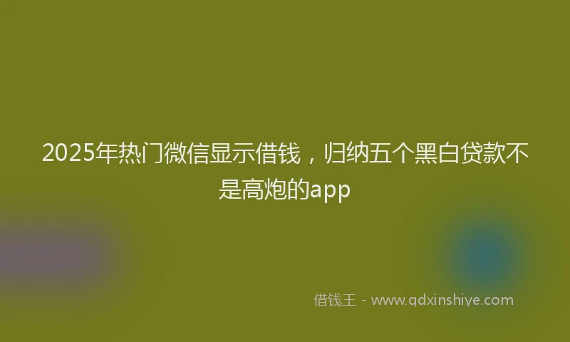 2025年热门微信显示借钱，归纳五个黑白贷款不是高炮的app