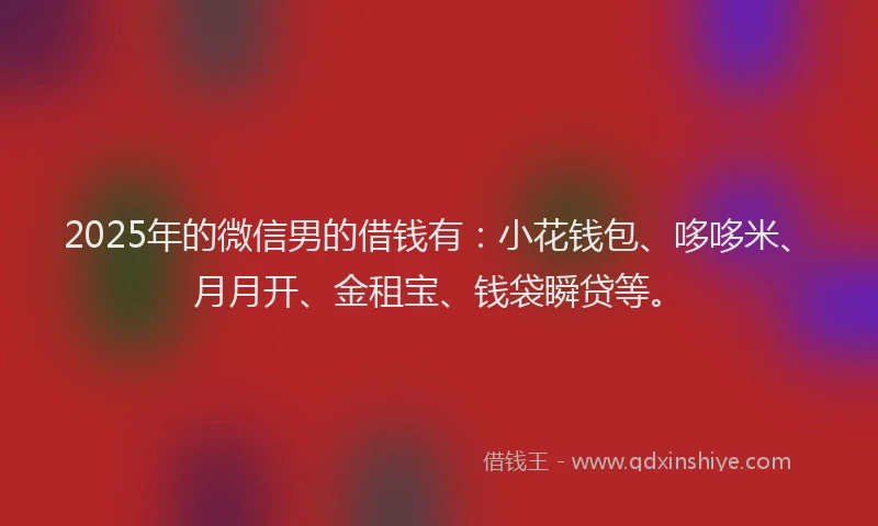 2025年的微信男的借钱有：小花钱包、哆哆米、月月开、金租宝、钱袋瞬贷等。
