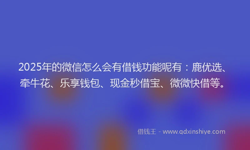 2025年的微信怎么会有借钱功能呢有：鹿优选、牵牛花、乐享钱包、现金秒借宝、微微快借等。