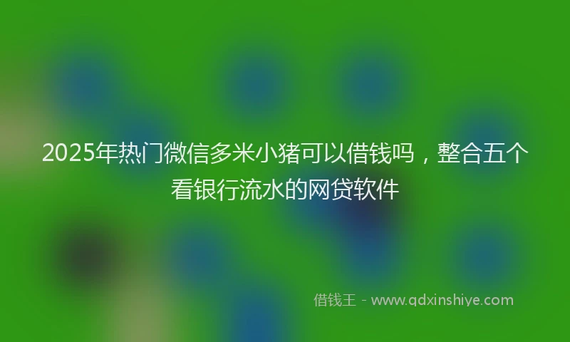 2025年热门微信多米小猪可以借钱吗，整合五个看银行流水的网贷软件