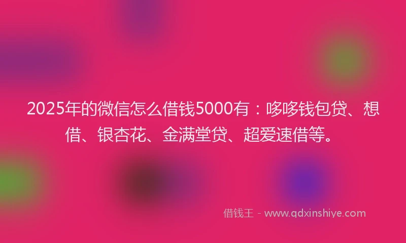 2025年的微信怎么借钱5000有：哆哆钱包贷、想借、银杏花、金满堂贷、超爱速借等。
