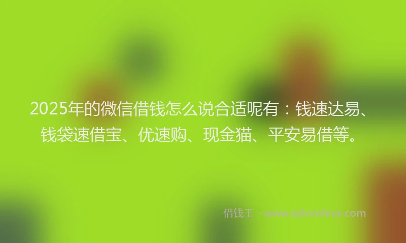 2025年的微信借钱怎么说合适呢有：钱速达易、钱袋速借宝、优速购、现金猫、平安易借等。