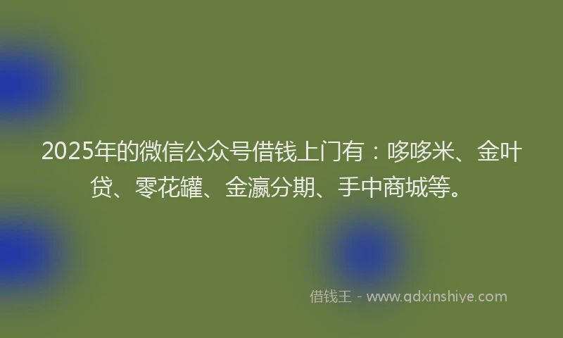 2025年的微信公众号借钱上门有：哆哆米、金叶贷、零花罐、金瀛分期、手中商城等。