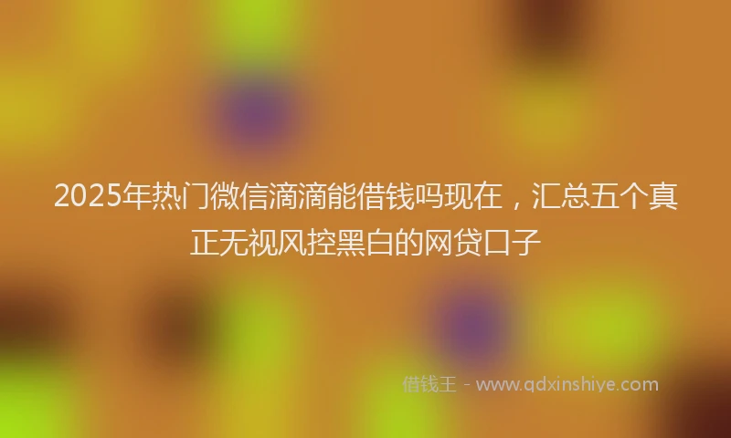 2025年热门微信滴滴能借钱吗现在，汇总五个真正无视风控黑白的网贷口子
