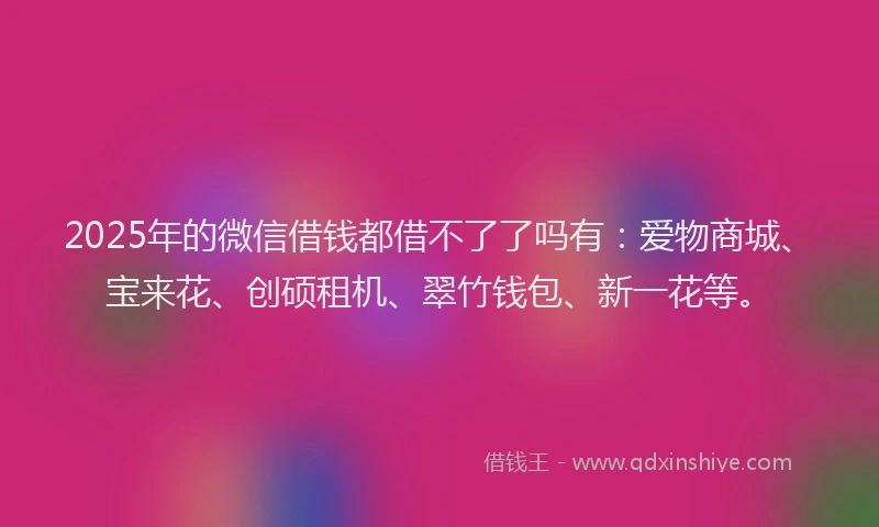 2025年的微信借钱都借不了了吗有：爱物商城、宝来花、创硕租机、翠竹钱包、新一花等。