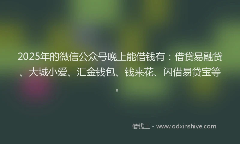 2025年的微信公众号晚上能借钱有：借贷易融贷、大城小爱、汇金钱包、钱来花、闪借易贷宝等。