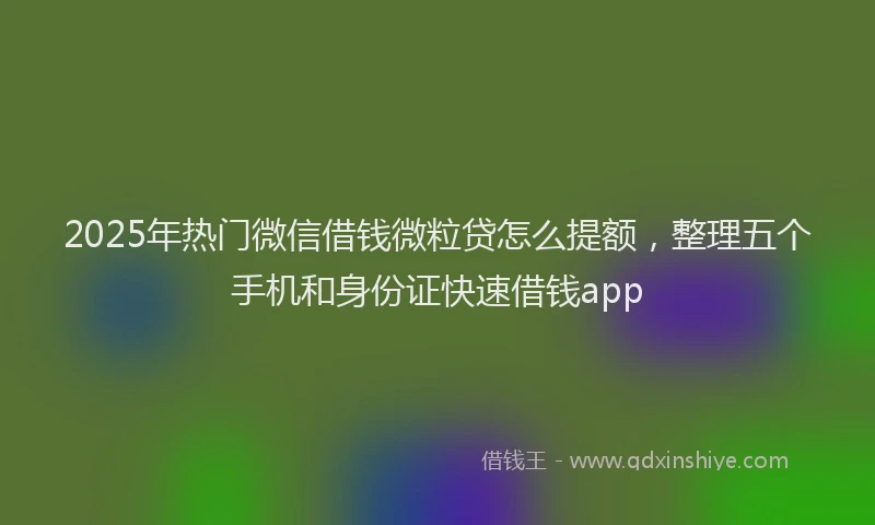 2025年热门微信借钱微粒贷怎么提额，整理五个手机和身份证快速借钱app
