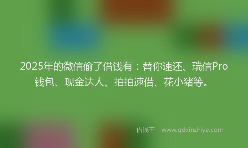 2025年的微信偷了借钱有：替你速还、瑞信Pro钱包、现金达人、拍拍速借、花小猪等。