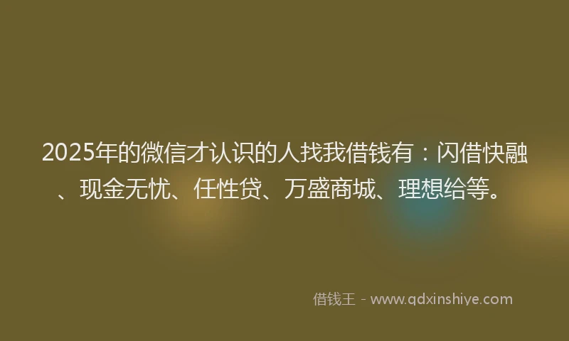 2025年的微信才认识的人找我借钱有：闪借快融、现金无忧、任性贷、万盛商城、理想给等。