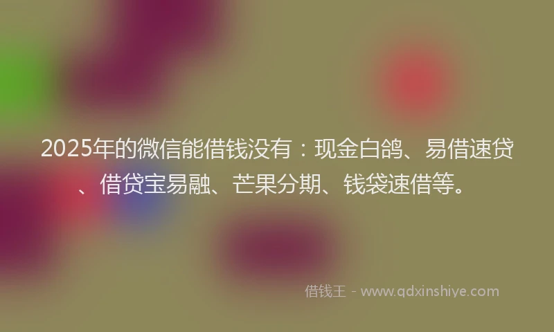 2025年的微信能借钱没有：现金白鸽、易借速贷、借贷宝易融、芒果分期、钱袋速借等。