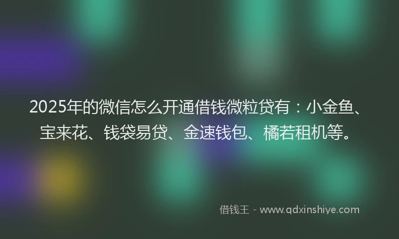 2025年的微信怎么开通借钱微粒贷有：小金鱼、宝来花、钱袋易贷、金速钱包、橘若租机等。