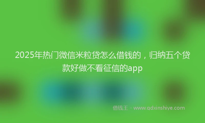 2025年热门微信米粒贷怎么借钱的，归纳五个贷款好做不看征信的app