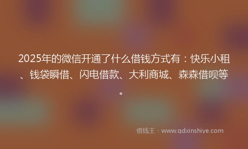 2025年的微信开通了什么借钱方式有：快乐小租、钱袋瞬借、闪电借款、大利商城、森森借呗等。