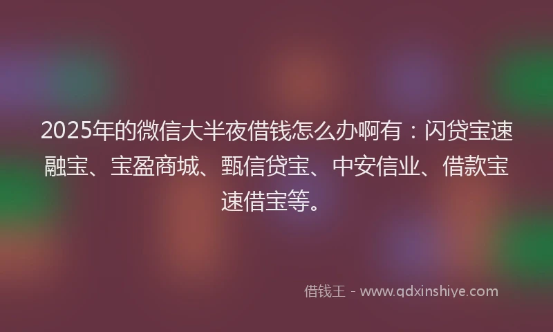2025年的微信大半夜借钱怎么办啊有：闪贷宝速融宝、宝盈商城、甄信贷宝、中安信业、借款宝速借宝等。