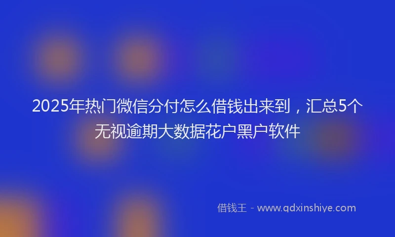 2025年热门微信分付怎么借钱出来到，汇总5个无视逾期大数据花户黑户软件
