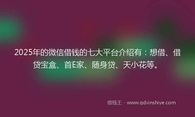 2025年的微信借钱的七大平台介绍有：想借、借贷宝盒、首E家、随身贷、天小花等。