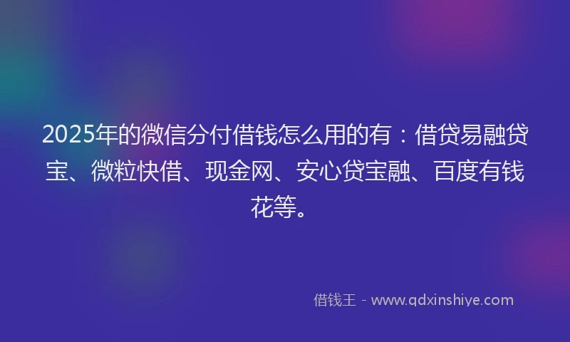 2025年的微信分付借钱怎么用的有：借贷易融贷宝、微粒快借、现金网、安心贷宝融、百度有钱花等。
