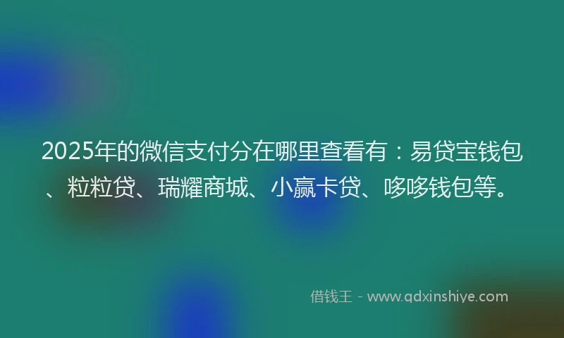 2025年的微信支付分在哪里查看有：易贷宝钱包、粒粒贷、瑞耀商城、小赢卡贷、哆哆钱包等。