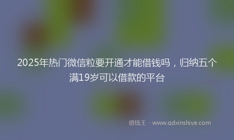 2025年热门微信粒要开通才能借钱吗，归纳五个满19岁可以借款的平台