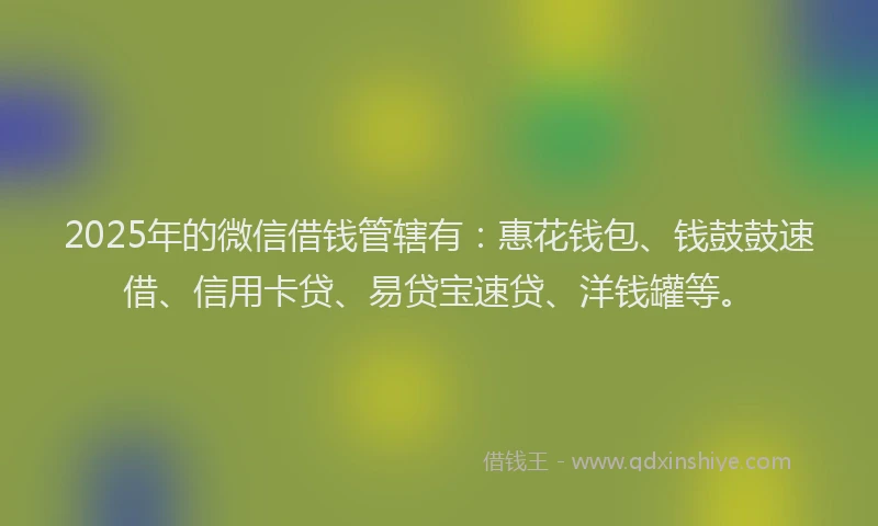 2025年的微信借钱管辖有：惠花钱包、钱鼓鼓速借、信用卡贷、易贷宝速贷、洋钱罐等。