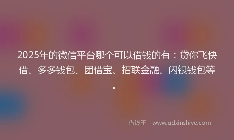 2025年的微信平台哪个可以借钱的有：贷你飞快借、多多钱包、团借宝、招联金融、闪银钱包等。