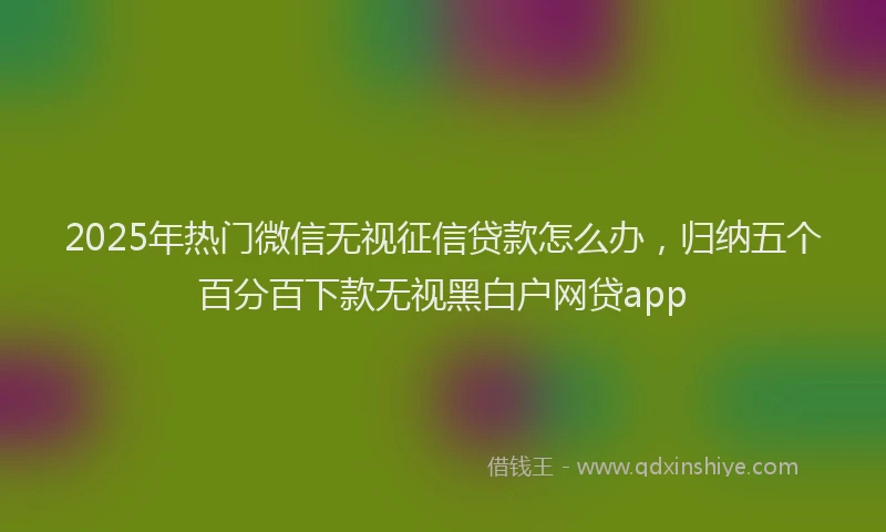 2025年热门微信无视征信贷款怎么办，归纳五个百分百下款无视黑白户网贷app