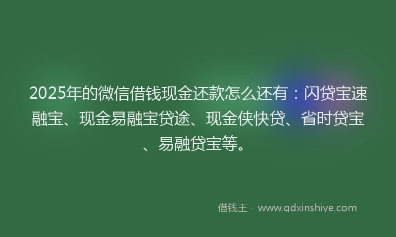 2025年的微信借钱现金还款怎么还有：闪贷宝速融宝、现金易融宝贷途、现金侠快贷、省时贷宝、易融贷宝等。