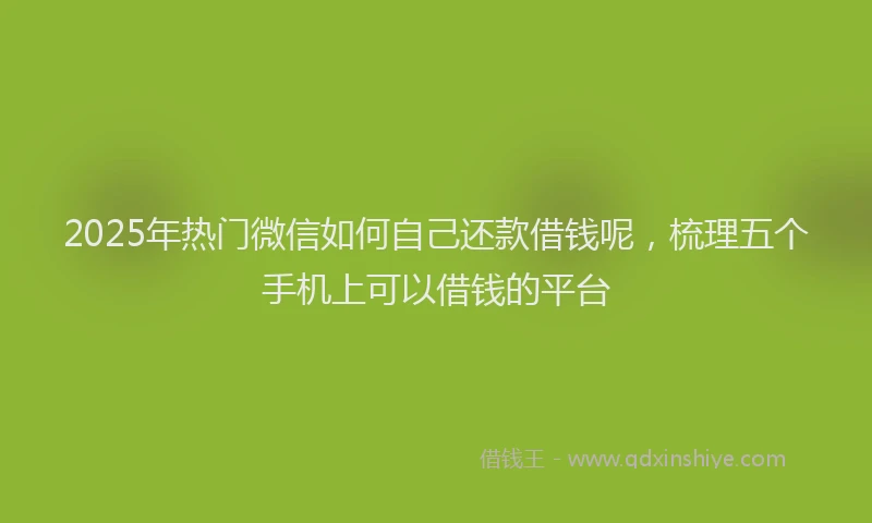 2025年热门微信如何自己还款借钱呢，梳理五个手机上可以借钱的平台