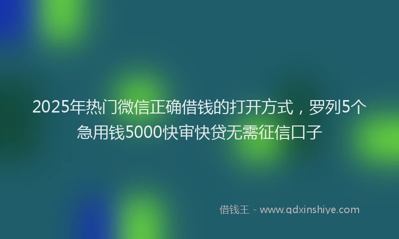 2025年热门微信正确借钱的打开方式，罗列5个急用钱5000快审快贷无需征信口子