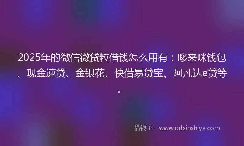 2025年的微信微贷粒借钱怎么用有：哆来咪钱包、现金速贷、金银花、快借易贷宝、阿凡达e贷等。