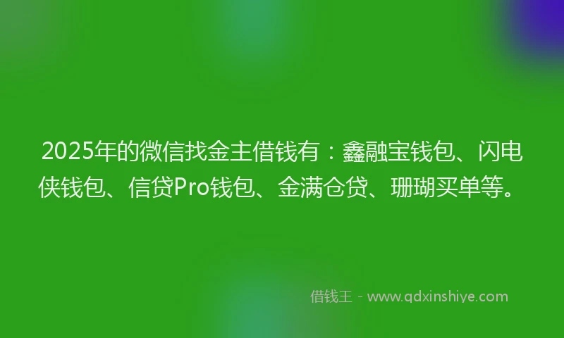 2025年的微信找金主借钱有：鑫融宝钱包、闪电侠钱包、信贷Pro钱包、金满仓贷、珊瑚买单等。