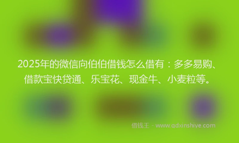 2025年的微信向伯伯借钱怎么借有：多多易购、借款宝快贷通、乐宝花、现金牛、小麦粒等。
