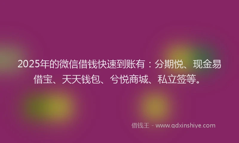 2025年的微信借钱快速到账有：分期悦、现金易借宝、天天钱包、兮悦商城、私立签等。